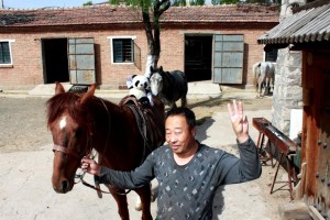 LCP_Horses_MG_4337